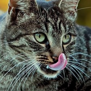 Meet your Posher, April